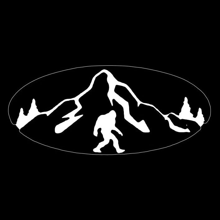 BRZ LOGO PROJECROTR LIGHTS Nr.03 (cantidad 1 = 1 juego/2 luces de puerta)