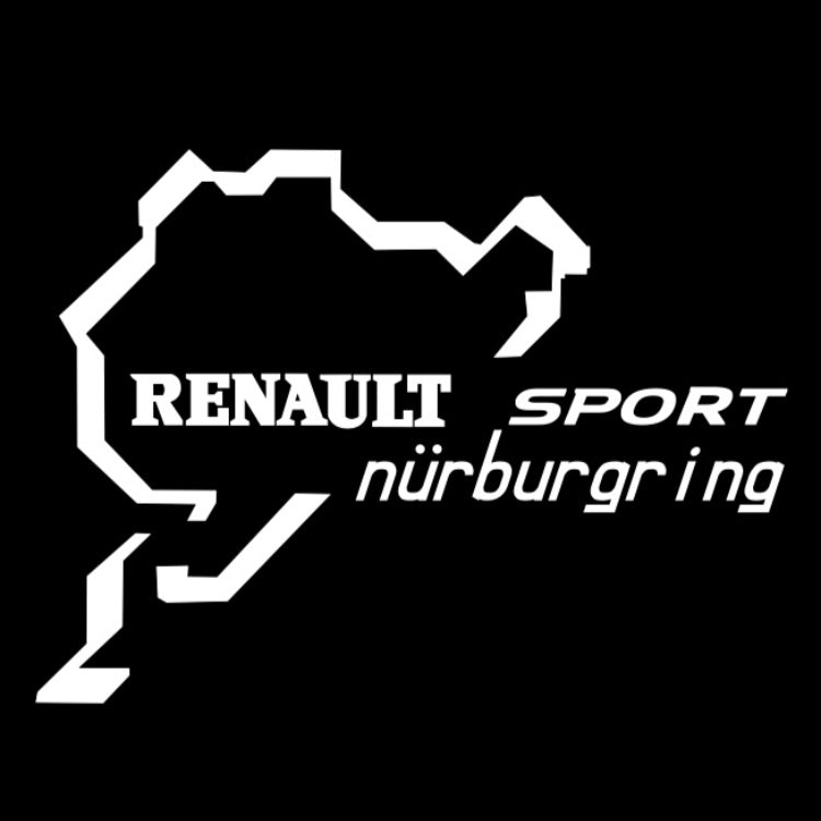 RENAULT Sport LOGO PROJECROTR LIGHTS Nr.0917 (quantity  1 =  2 Logo Film & 2 door lights)