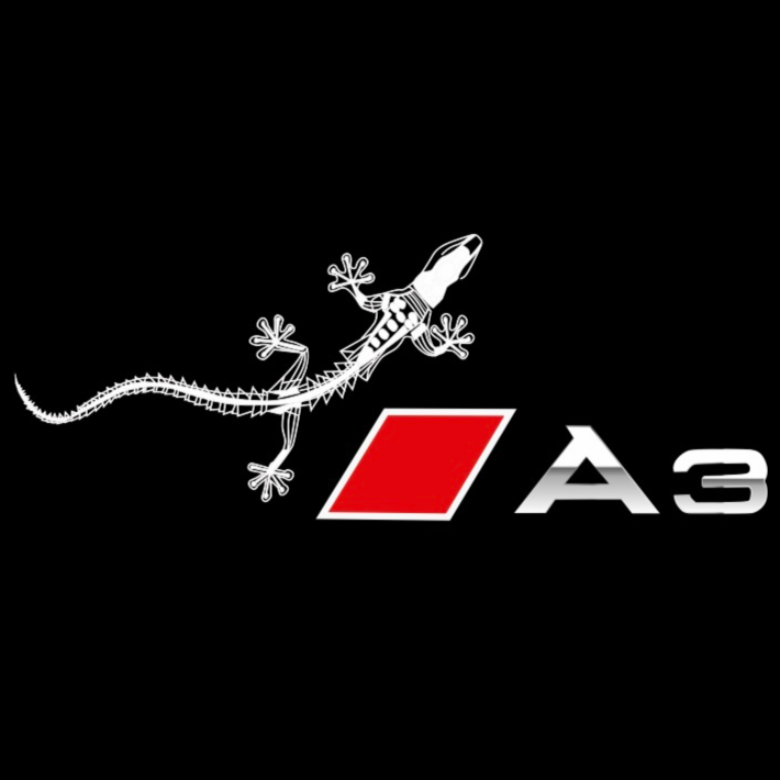 AUDI LOGO PROJECT LIGHTS Nr.120 (quantità 1= 2 Logo Films /2 porta luci）