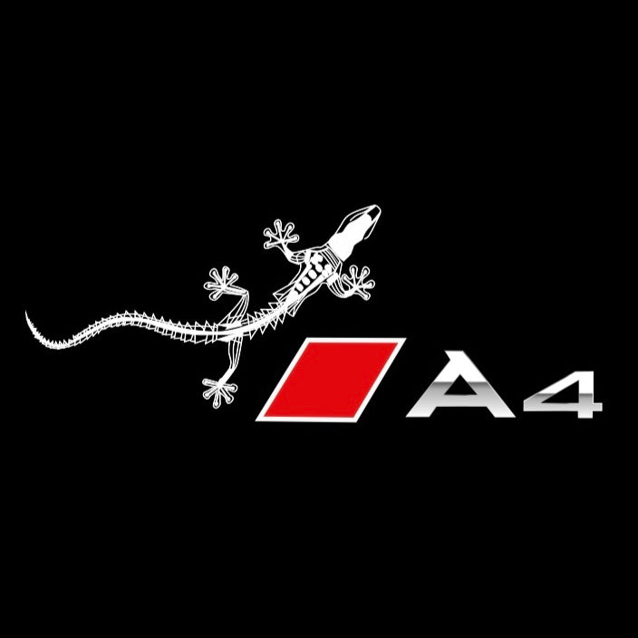 LUCES DE PROYECTOR LOGO AUDI No 120 (cantidad 1 = 2 películas con logotipo / 2 luces de puerta)