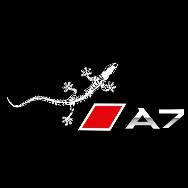 AUDI LOGO PROJECTOT LIGHTS Nr.120 (الكمية 1 = 2 Logo Films /2 أضواء الباب)