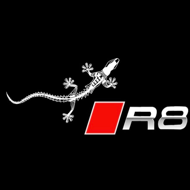 AUDI R8 LOGO PROJECTOT LIGHTS (quantity 1 = 2 Logo Films /2 door light ...