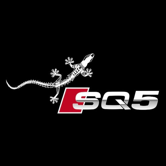 AUDI LOGO PROJECT LIGHTS Nr.120 (quantità 1= 2 Logo Films /2 porta luci）