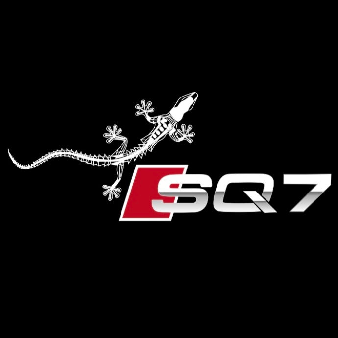 AUDI LOGO PROJECT LIGHTS Nr.120 (quantità 1= 2 Logo Films /2 porta luci）