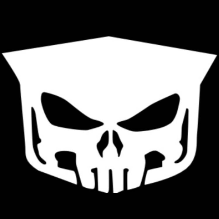 AUDI LOGO PROJECTOT LIGHTS Nr.19 (quantità 1 = 2 Logo Films /2 luci porta)