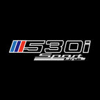 BMW M3 LOGO PROJECTOT LIGHTS Nr.24 (Menge 1 = 1 Sets/2 Türleuchten)