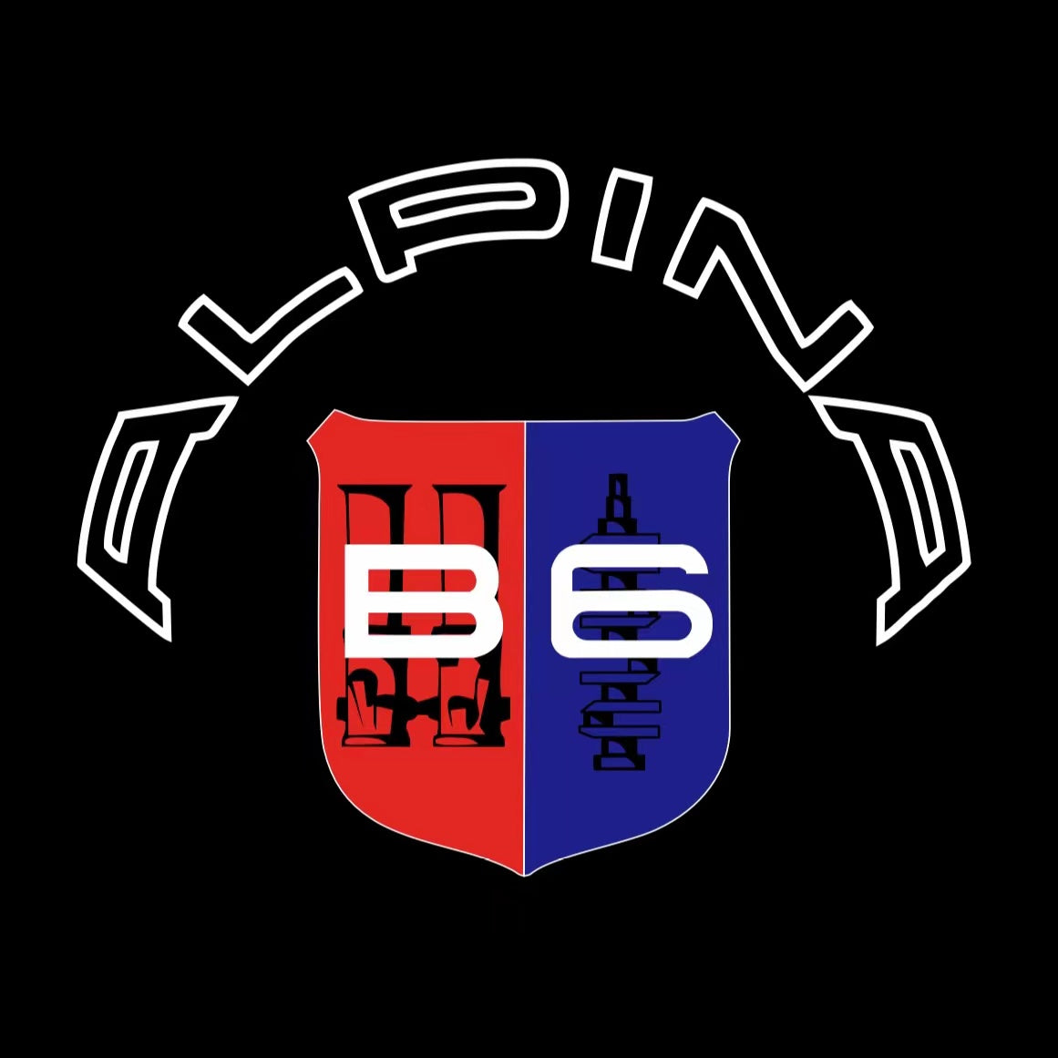 ALPINA B6 LOGO PROJECTOT LIGHTS  (quantity 1 = 1 sets/2 door lights) Nr.07A51