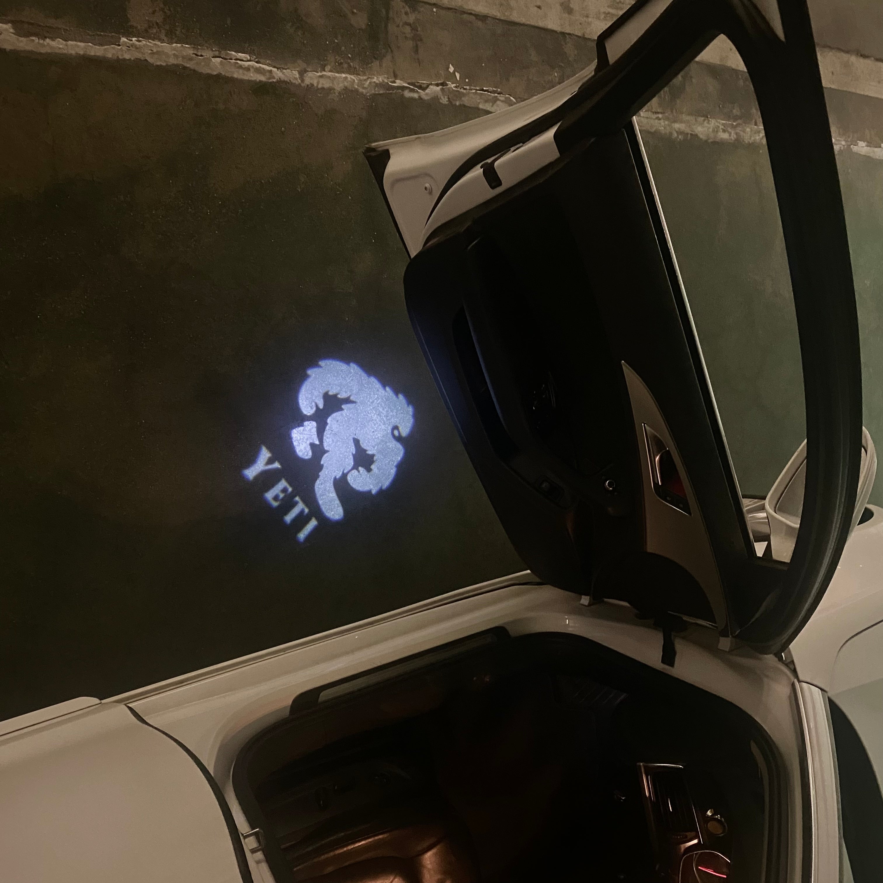 SKODA YETI LOGO PROJECTOT LIGHTS Nr.718 (quantity  1 =  2 Logo Film /  2 door lights)