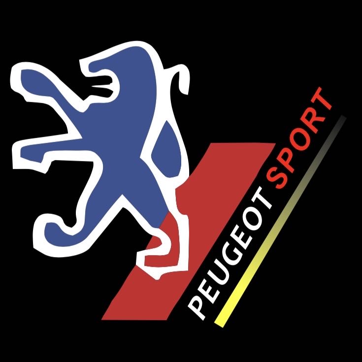 BMW M3 LOGO PROJECTOT LIGHTS Nr.24 (Menge 1 = 1 Sets/2 Türleuchten)