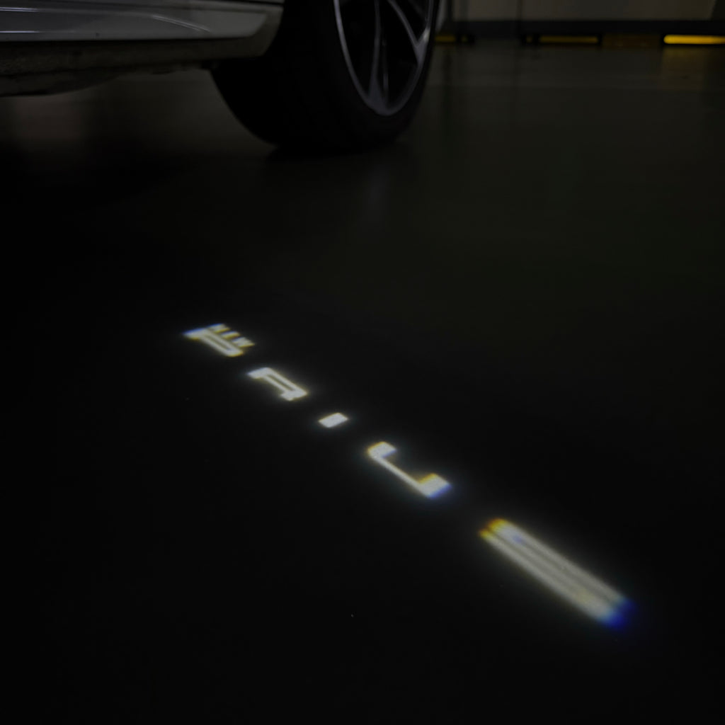 TOYOTA  PRIUS LOGO PROJECROTR LIGHTS  (quantity 1 = 1 sets/2 door lights) Nr.0G24