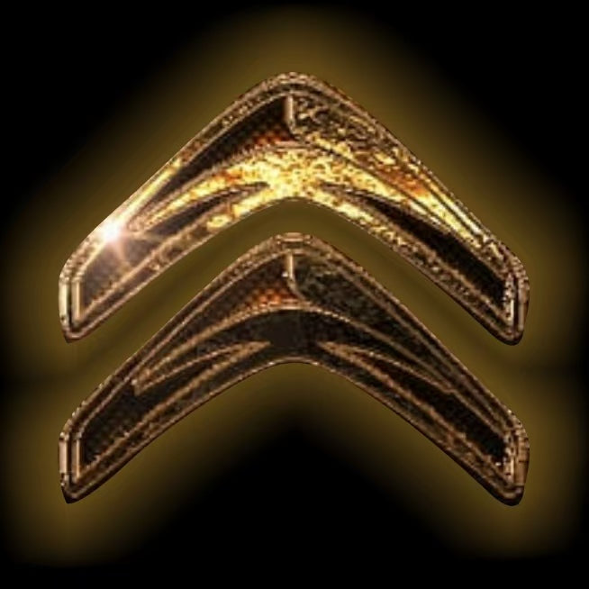 BMW M3 LOGO PROJECTOT LIGHTS Nr.24 (Menge 1 = 1 Sets/2 Türleuchten)