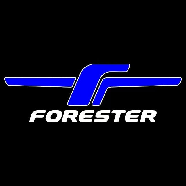 BRZ LOGO PROJECROTR LIGHTS Nr.03 (quantité 1 = 1 ensemble/2 feux de porte)