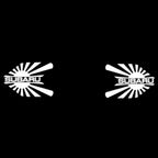 BRZ LOGO PROJECROTR LIGHTS Nr.03 (cantidad 1 = 1 juego/2 luces de puerta)