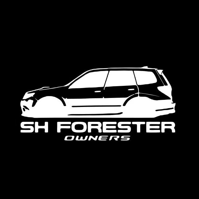 BRZ LOGO PROJECROTR LIGHTS Nr.03 (cantidad 1 = 1 juego/2 luces de puerta)