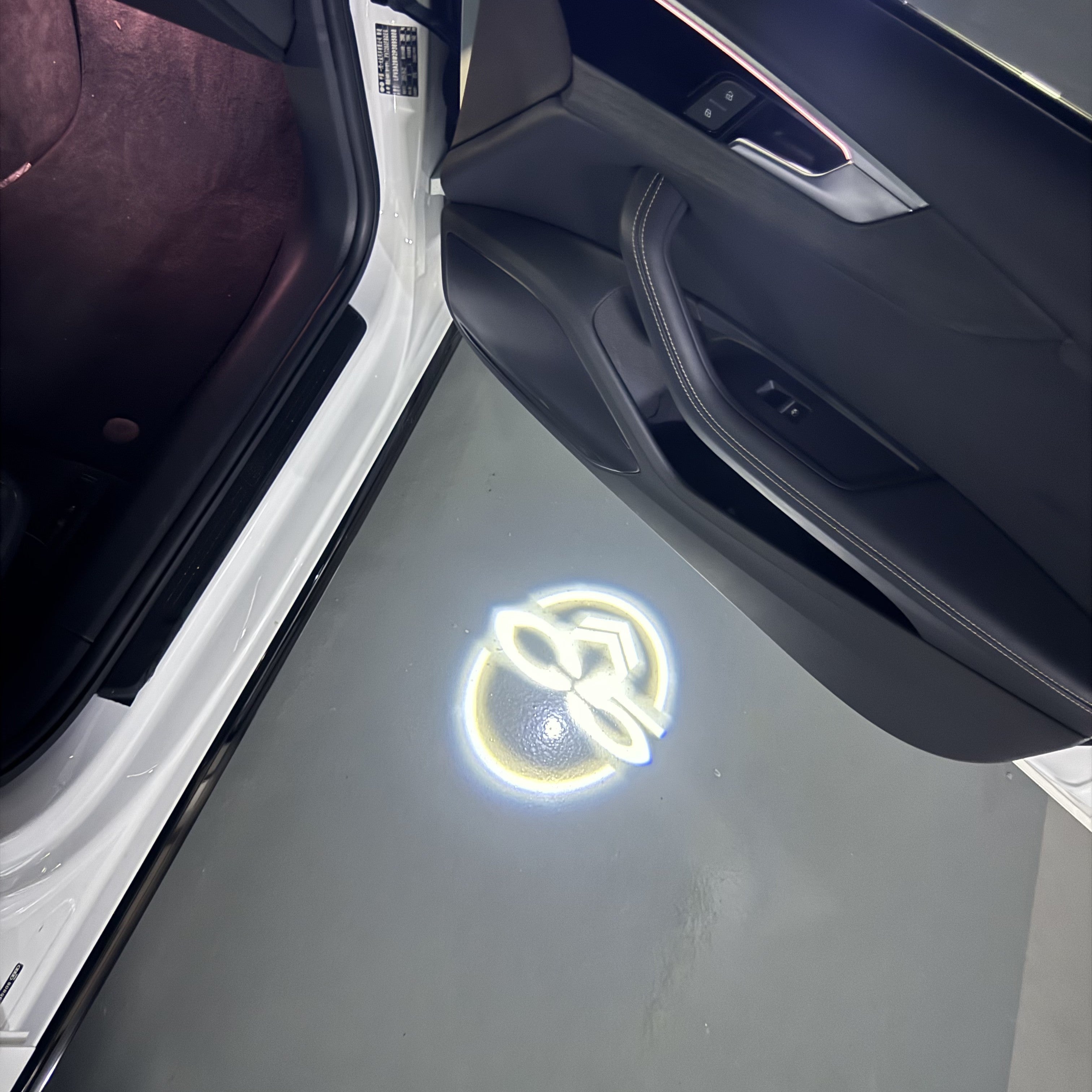 BMW M3 LOGO PROJECTOT LIGHTS Nr.24 (Menge 1 = 1 Sets/2 Türleuchten)