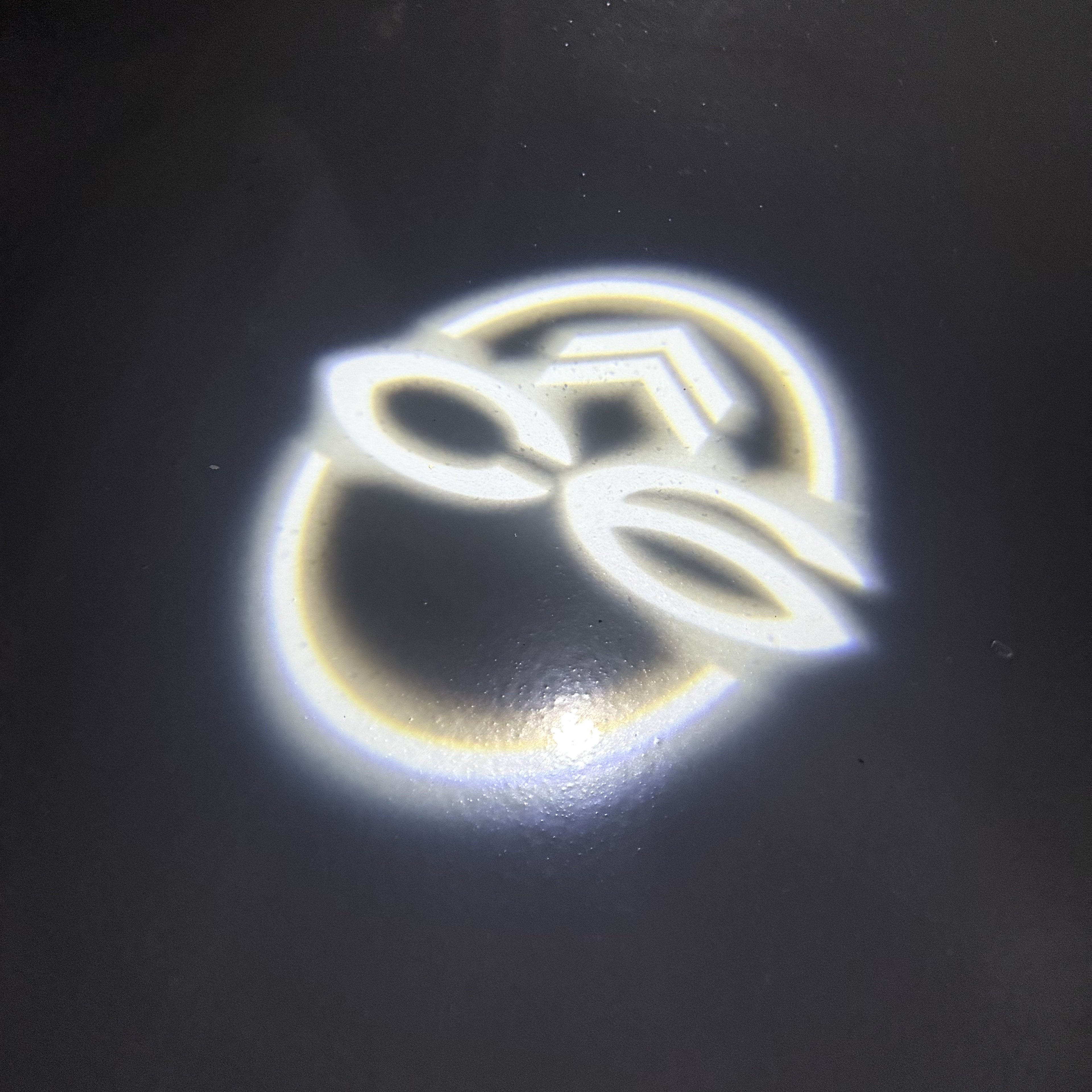 BMW M3 LOGO PROJECTOT LIGHTS Nr.24 (Menge 1 = 1 Sets/2 Türleuchten)