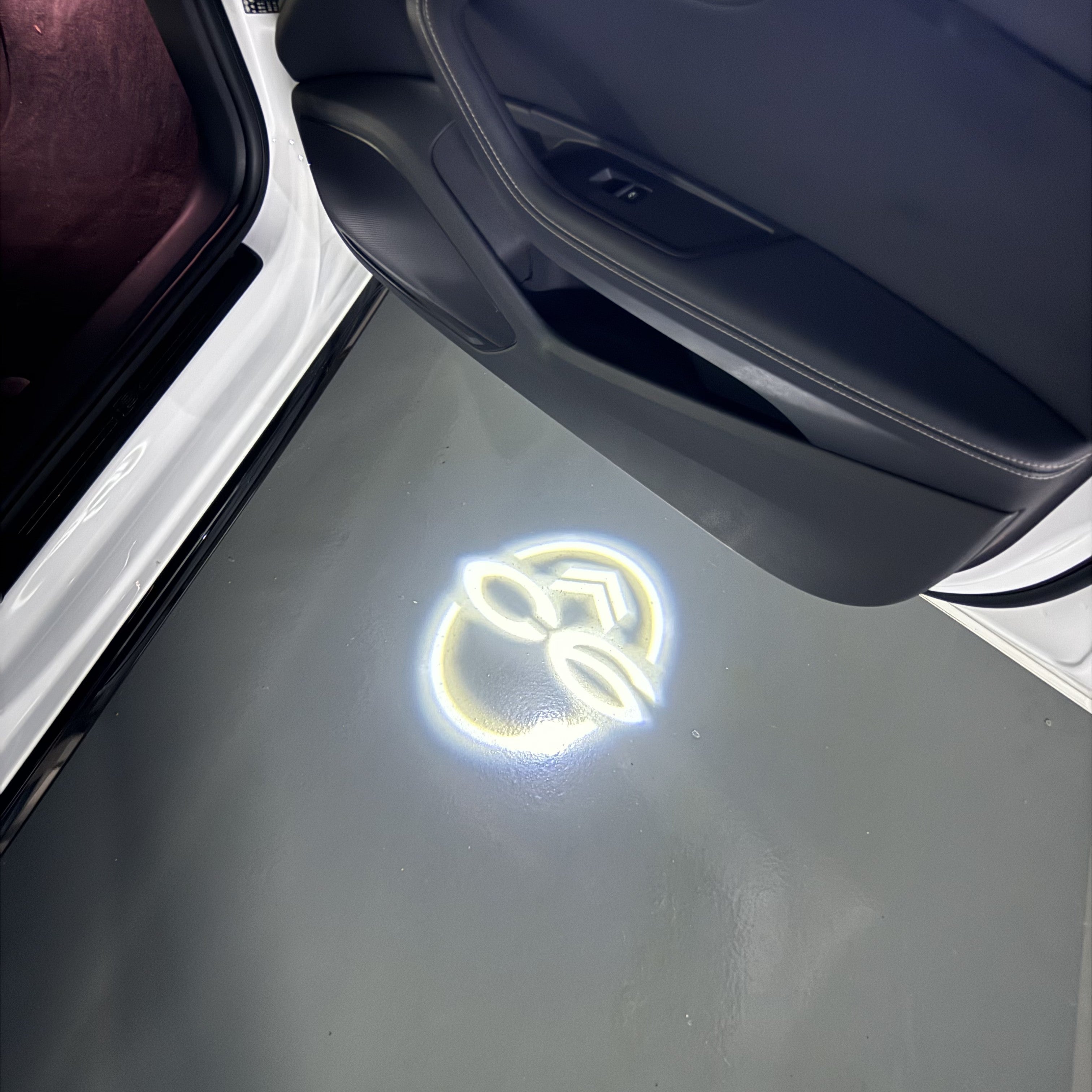 BMW M3 LOGO PROJECTOT LIGHTS Nr.24 (Menge 1 = 1 Sets/2 Türleuchten)