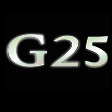 إنفينيتي G25 LOGO LOGO LIGHTS Nr.40 (الكمية 1 = 1 مجموعة / 2 أضواء باب)