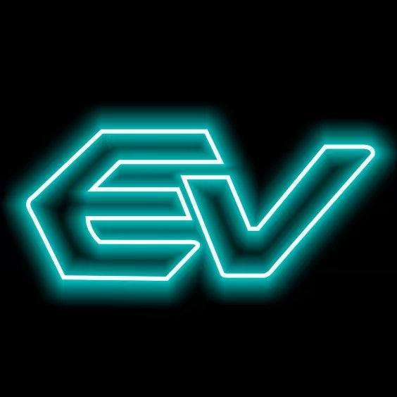 BRZ LOGO PROJECROTR LIGHTS Nr.03 (cantidad 1 = 1 juego/2 luces de puerta)