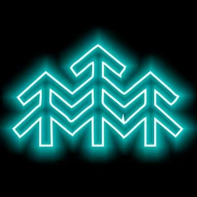 BRZ LOGO PROJECROTR LIGHTS Nr.03 (cantidad 1 = 1 juego/2 luces de puerta)