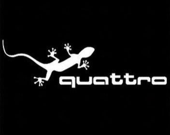 AUDI QUATTRO GECKO LOGO PROJEKTORLEUCHTEN Nr.62 (Anzahl 1 = 2 Logo Folien / 2 Türleuchten)