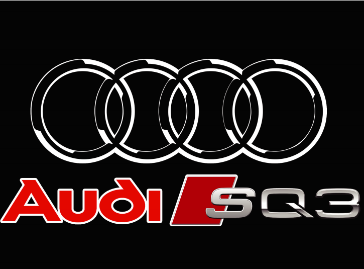 AUDI LOGO PROJECTOT LIGHTS Nr.254 (الكمية 1 = 2 Logo Films /2 أضواء الباب)