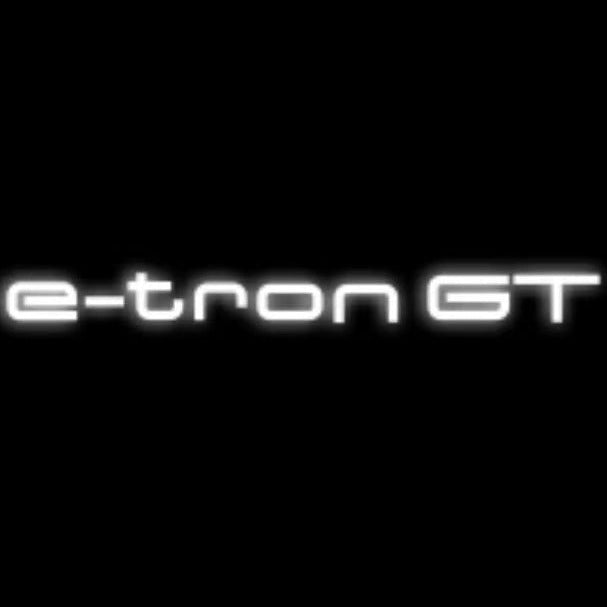 AUDI E-TRON GT  LOGO PROJECTOT LIGHTS Nr.3711