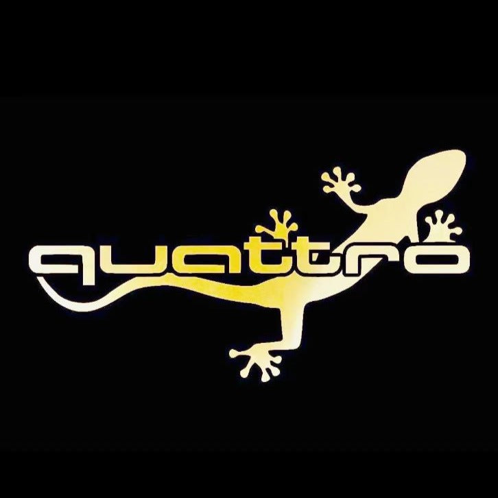 AUDI QUATTRO GECKO LOGO PROJECTOT LIGHTS Nr.64 (Menge 1 = 2 Logofolien /2 Türleuchten)