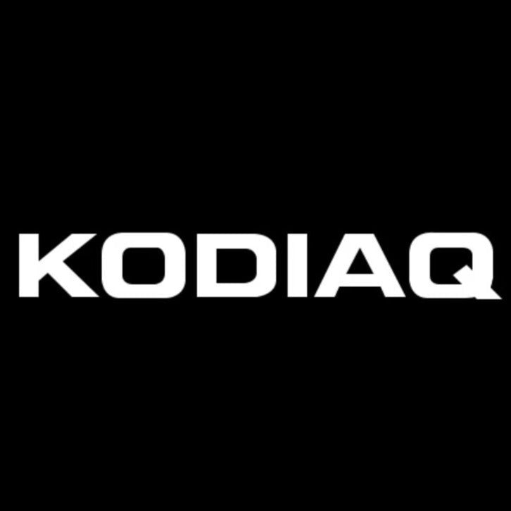 LUCI PROIETTORI SKODA KODIAQ LOGO Nr.97 (quantità 1 = 2 Logo Film / 2 luci porta)