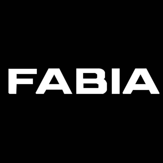 SKODA FABIA 6 Y LOGO PROJECTOT LIGHTS Nr.19 (الكمية 1 = 2 فيلم شعار / 2 أضواء باب）