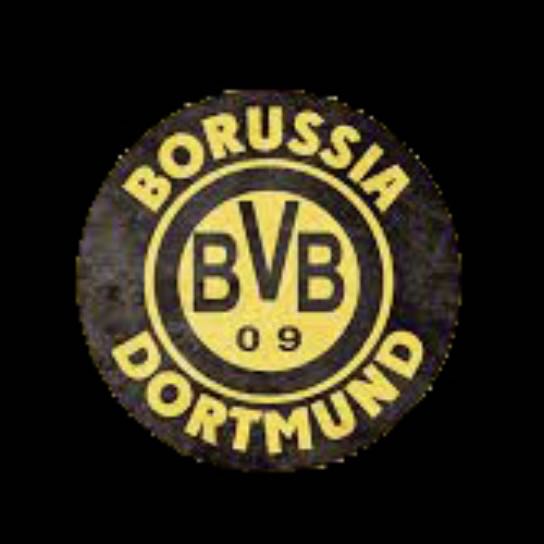 BVB DORTMUND Football CLUB Logo Nr.235 (Menge 1 = 2 Logofilme /2 Türleuchten)