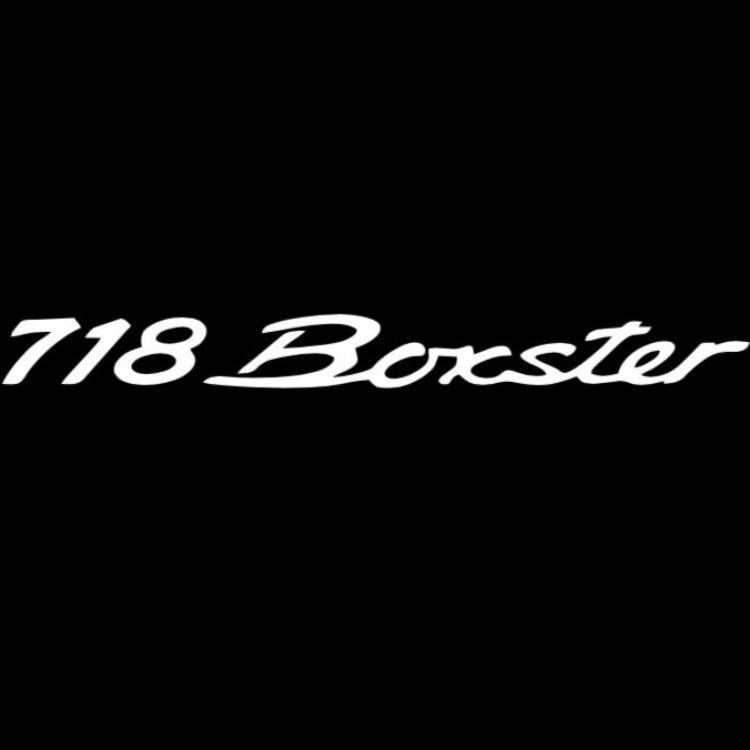 PORSCHE Boxster S LOGO PROJECTOT LIGHTS Nr.17 (الكمية 1 = 2 شعار فيلم / 2 أضواء باب)