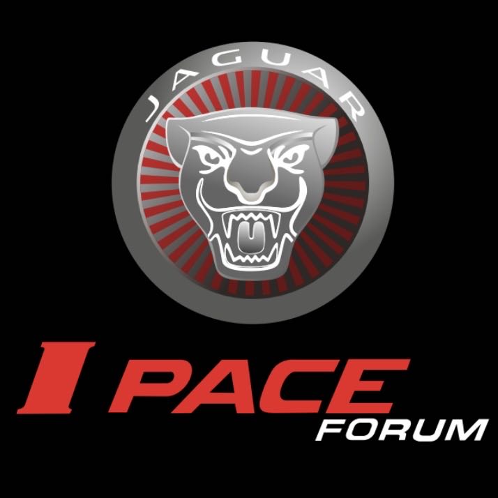 JAGUAR LOGO PROJECROTR LIGHTS Nr.122 (quantità 1 = 1 set/2 luci porta)