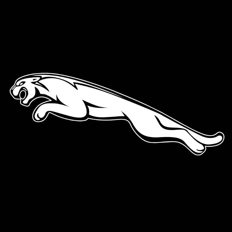 JAGUAR LOGO PROJECROTR LIGHTS Nr.07 (quantità 1 = 1 set / 2 luci porta)