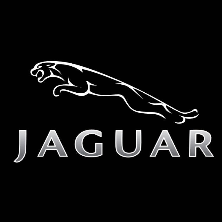 JAGUAR LOGO PROJECROTR LIGHTS Nr.05 (Menge 1 = 1 Sets/2 Türleuchten)