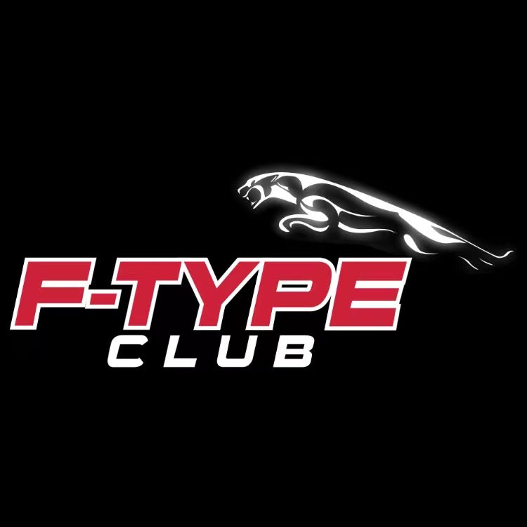 LUCI PROIETTORI LOGO JAGUAR Nr.137 (quantità 1 = 1 set / 2 luci porta