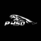 JAGUAR LOGO PROJECROTR LIGHTS Nr.86 (quantità 1 = 1 set/2 luci porta)