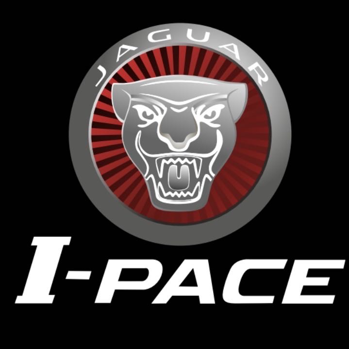 LUCES DE PROYECTOR LOGO JAGUAR Nr.124 (cantidad 1 = 1 juegos / 2 luces de puerta)