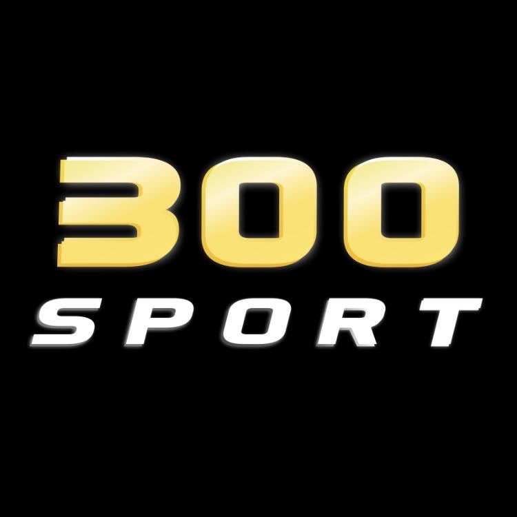 JAGUAR LOGO PROJECROTR LIGHTS Nr.55 (Menge 1 = 1 Sets/2 Türleuchten)