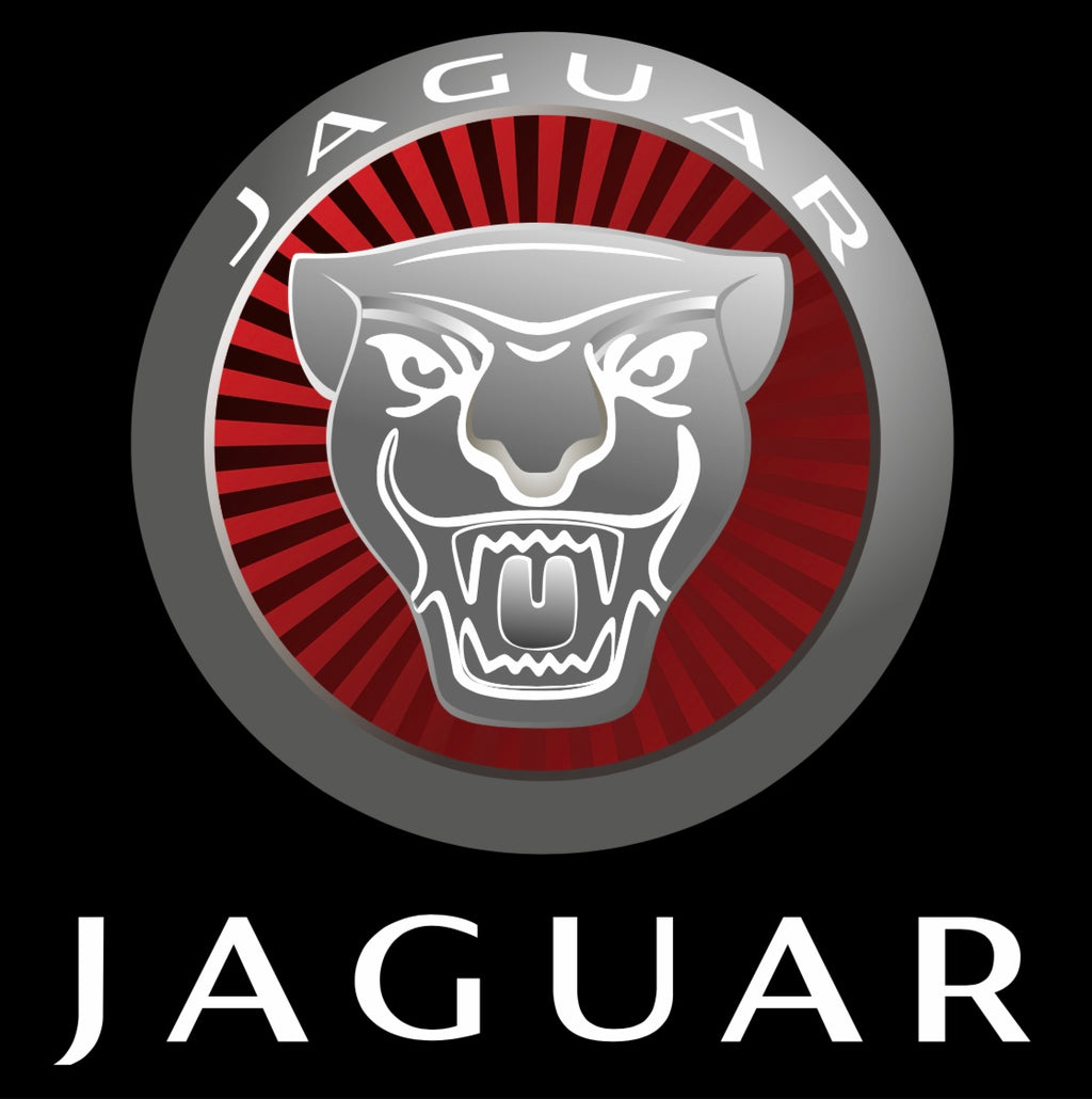 LUCI PROIETTORI LOGO JAGUAR Nr.02 (quantità 1 = 1 set / 2 luci porta)