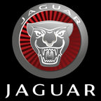 LUCI PROIETTORI LOGO JAGUAR Nr.02 (quantità 1 = 1 set / 2 luci porta)