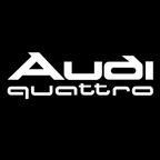 AUDI LOGO PROJECTOT LIGHTS Nr.19 (quantità 1 = 2 Logo Films /2 luci porta)