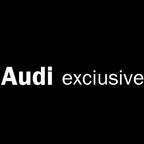 AUDI  EXCLUSIVE LOGO PROJECTOT LIGHTS Nr.73  (quantity 1 = 2 Logo Films /2 door lights）