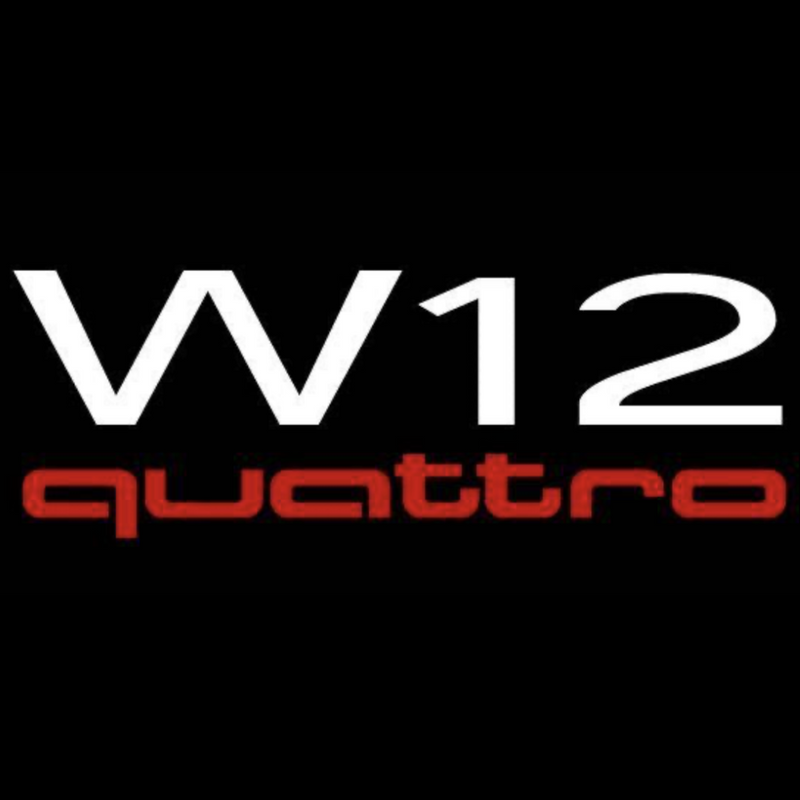 AUDI W12 LOGO PROJECTOT LIGHTS Nr.75  (quantity 1 = 2 Logo Films /2 door lights）