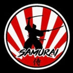 JDM LOGO PROJECTOT LIGHTS Nr.02 (quantity 1 = 1 sets/2 door lights)