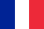 Logo France République Française Drapeau National (quantité 1 = 1 ensemble / 2 logo film / Peut remplacer des lumières autres logos)