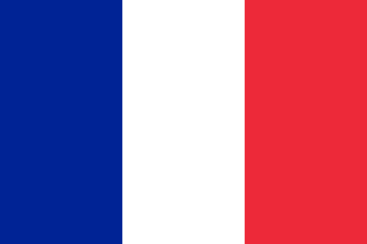 Logo France République Française Drapeau National (quantité 1 = 1 ensemble / 2 logo film / Peut remplacer des lumières autres logos)