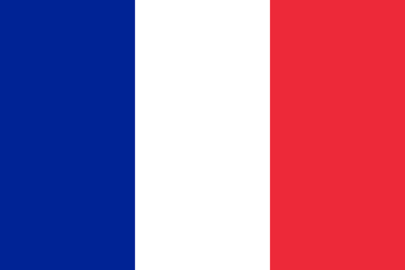 République française National Flag logo (quantità 1 = 1 set / 2 logo film / Can replace of lights altri loghi)