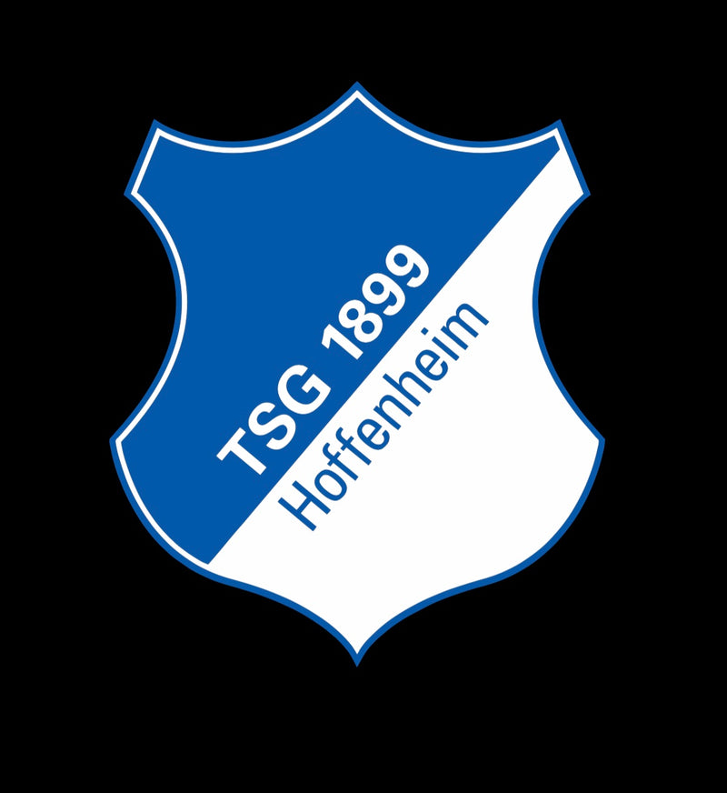 Football CLUB TSG 1899 Hoffenheim Logo Nr.258  (quantity 1 = 2 Logo Films /2 door lights）