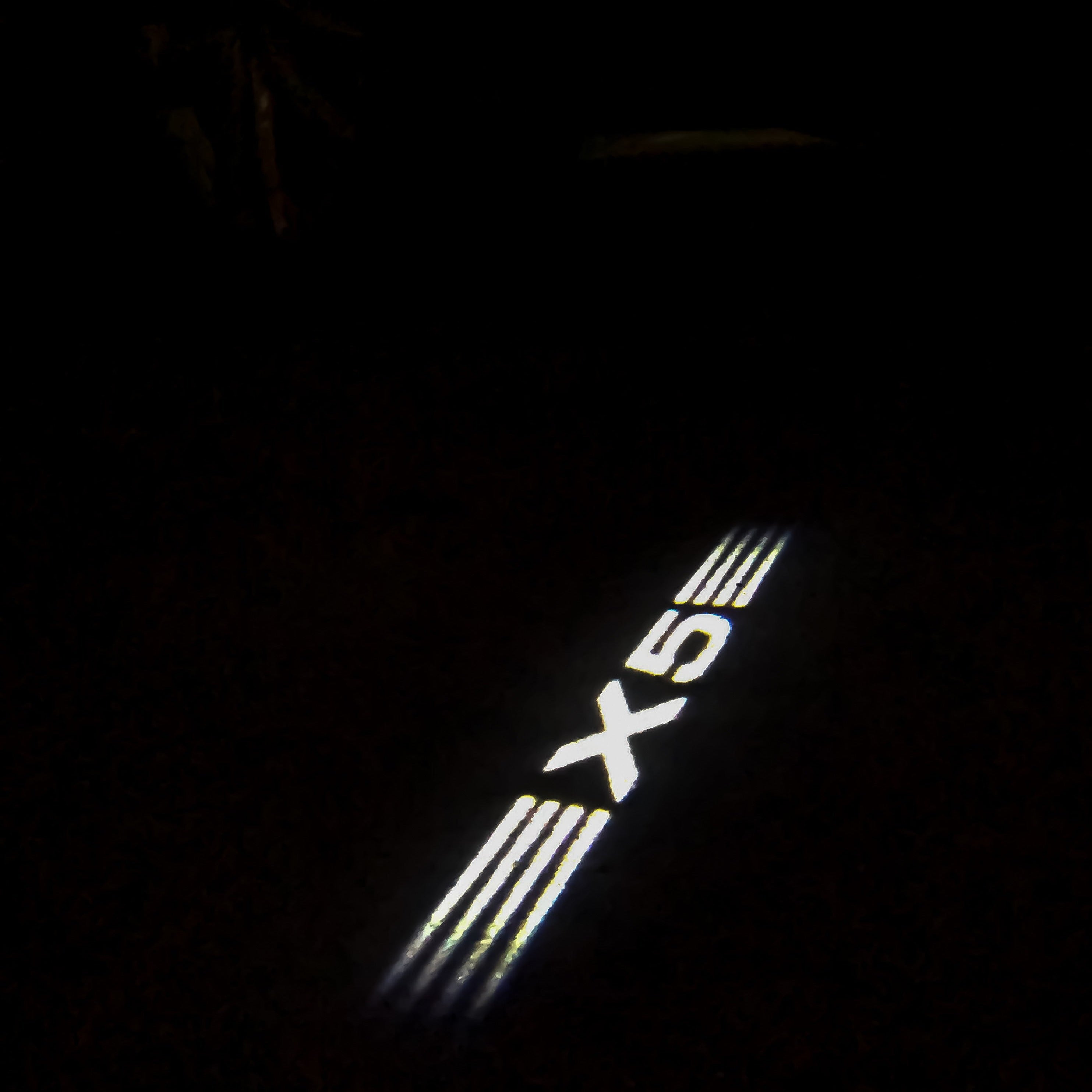 BMW X5 LOGO PROJECTOT LIGHTS Nr.20 (quantità 1 = 1 set/2 luci porta)